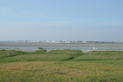 JFBTM_2007_31
