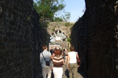 JFBTM_2007_35