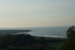 JFBTM_2007_47
